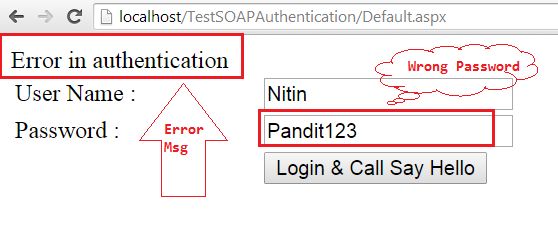 run to the web browser